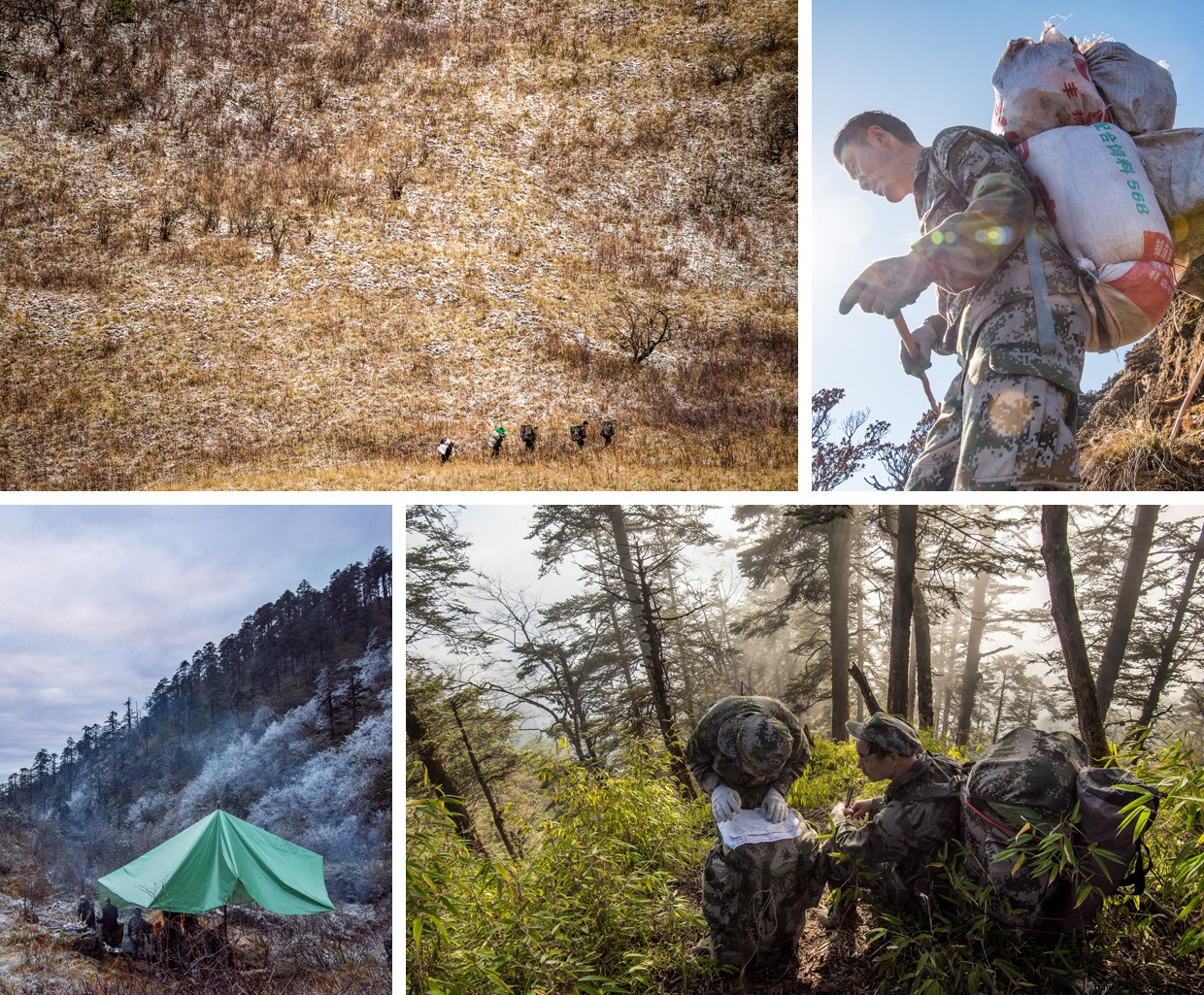 Exploring the Panda Trail: A Rain-Soaked Bamboo Adventure