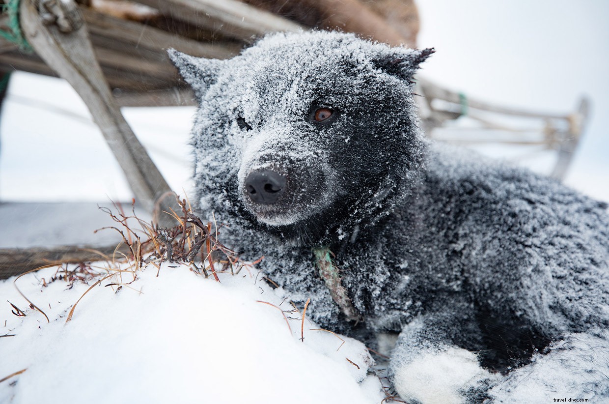 Ally s Expedition into the World s Most Remote Tribal Communities