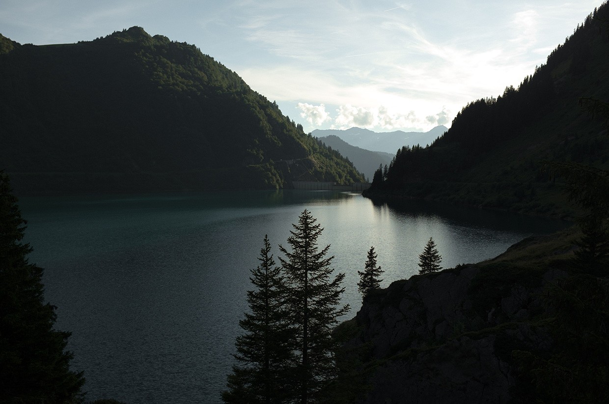 Essential Guide to Evening Camp Setup in the Wilderness