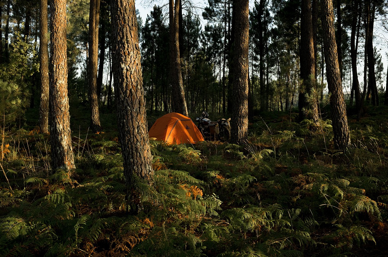 Essential Guide to Evening Camp Setup in the Wilderness