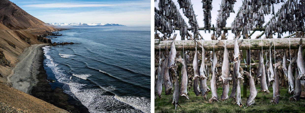 Skiing Iceland: Epic Backcountry Adventures Between Fire and Ice