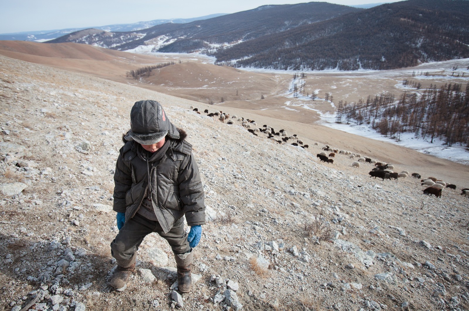 Life Inside a Ger: An Adventurer’s Journey