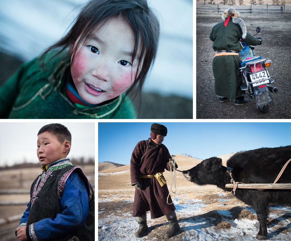 Life Inside a Ger: An Adventurer’s Journey