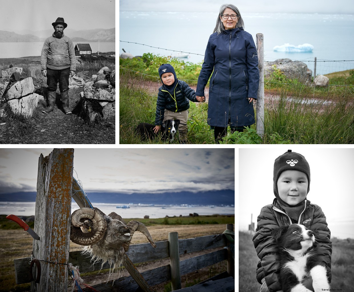 Exploring Greenland s UNESCO Heritage: From Norse to Modern Sheep Farmers