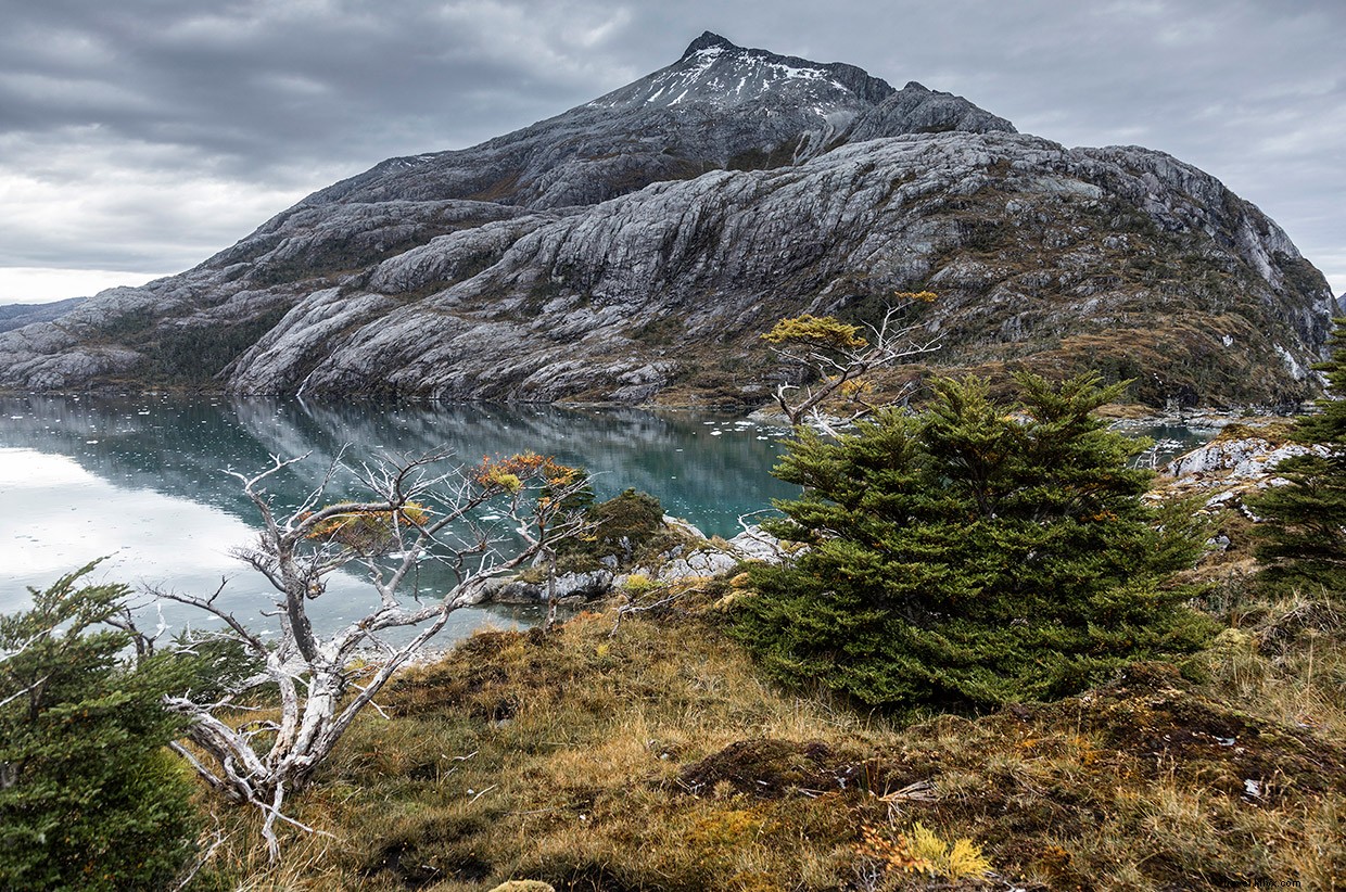 Securing Navy Approval: A Kayak Guide’s Patagonian Fjord Adventure