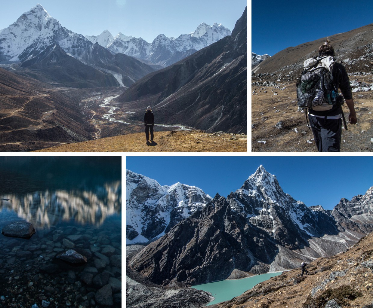 The Pass: Navigating a Frozen Wilderness