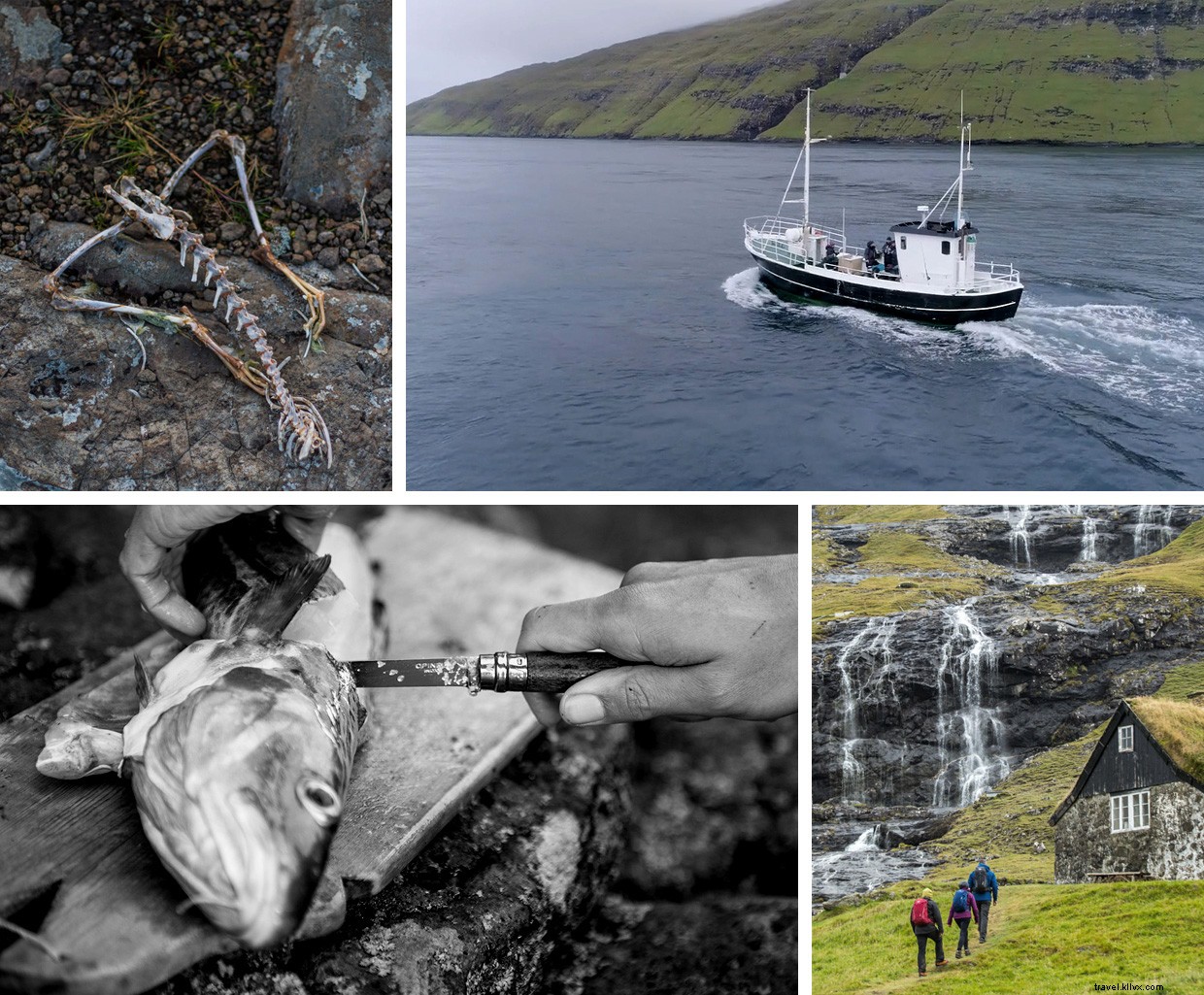 The Faroes: A Voyage of Early Norse Explorers