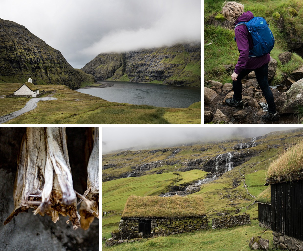 The Faroes: A Voyage of Early Norse Explorers