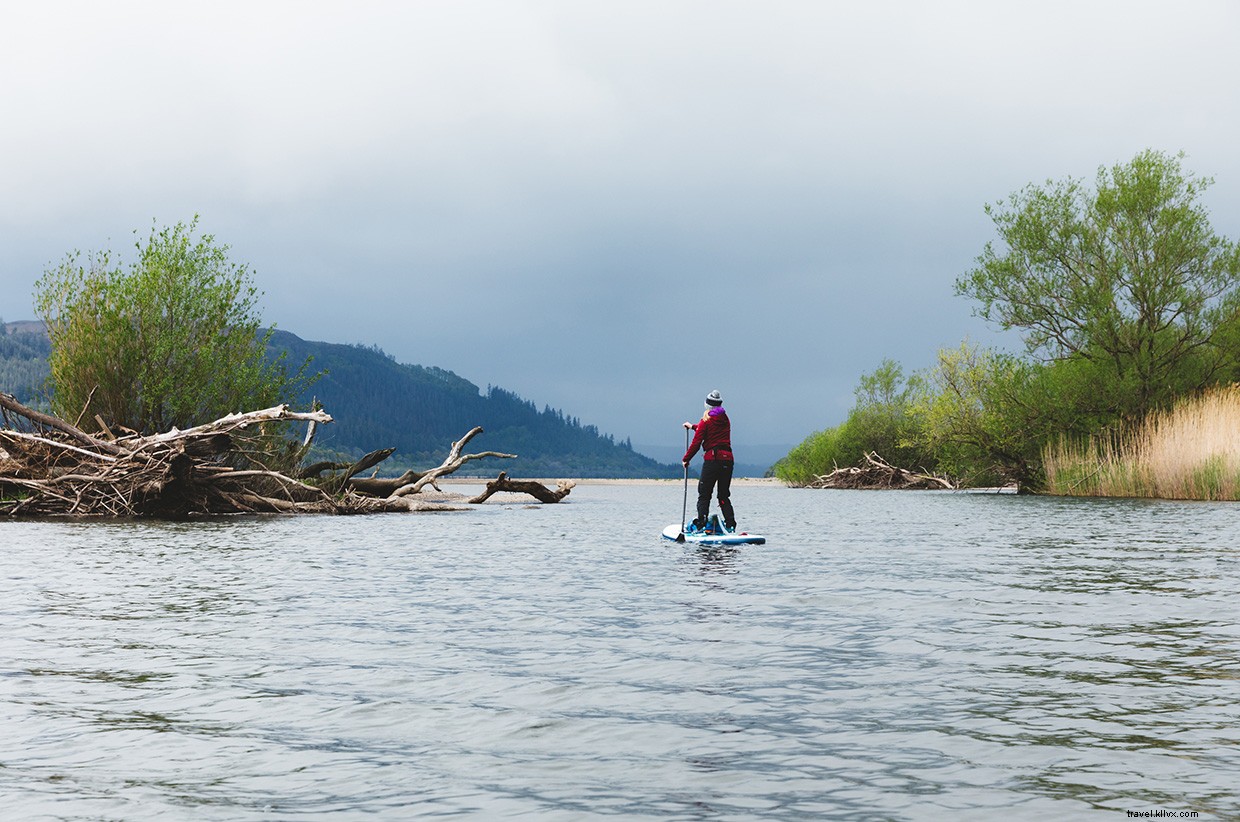 Veins of a Nation: A Journey Through Lakeland’s Hidden Waters