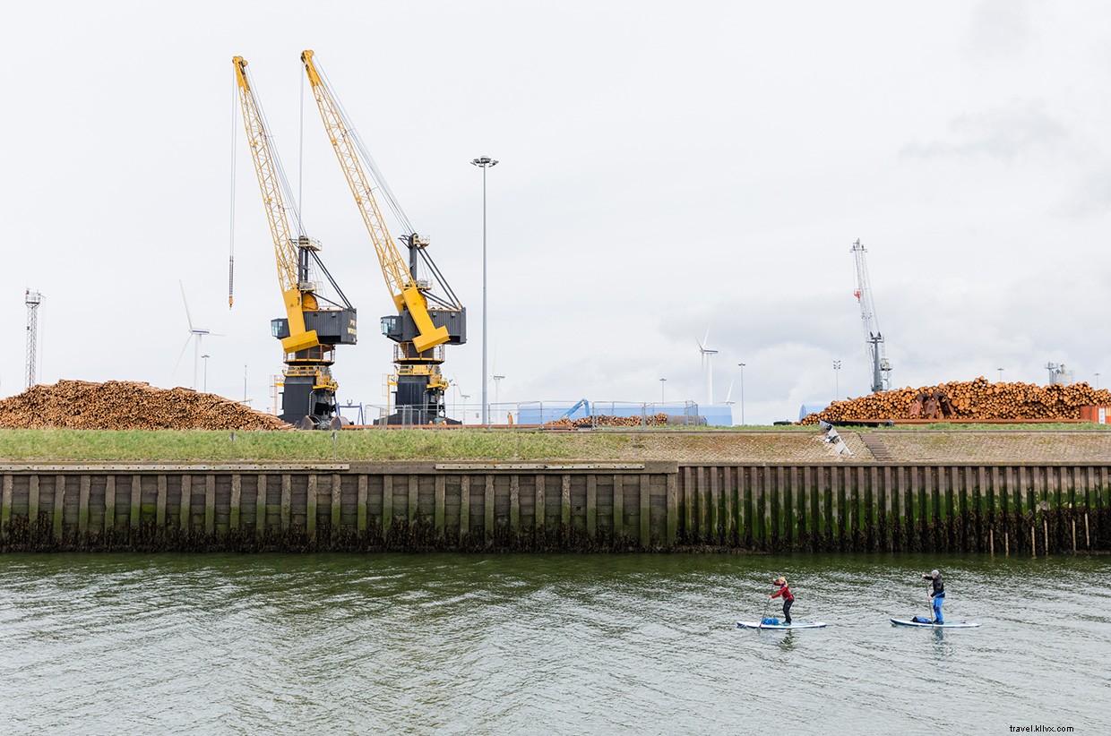 Veins of a Nation: A Journey Through Lakeland’s Hidden Waters