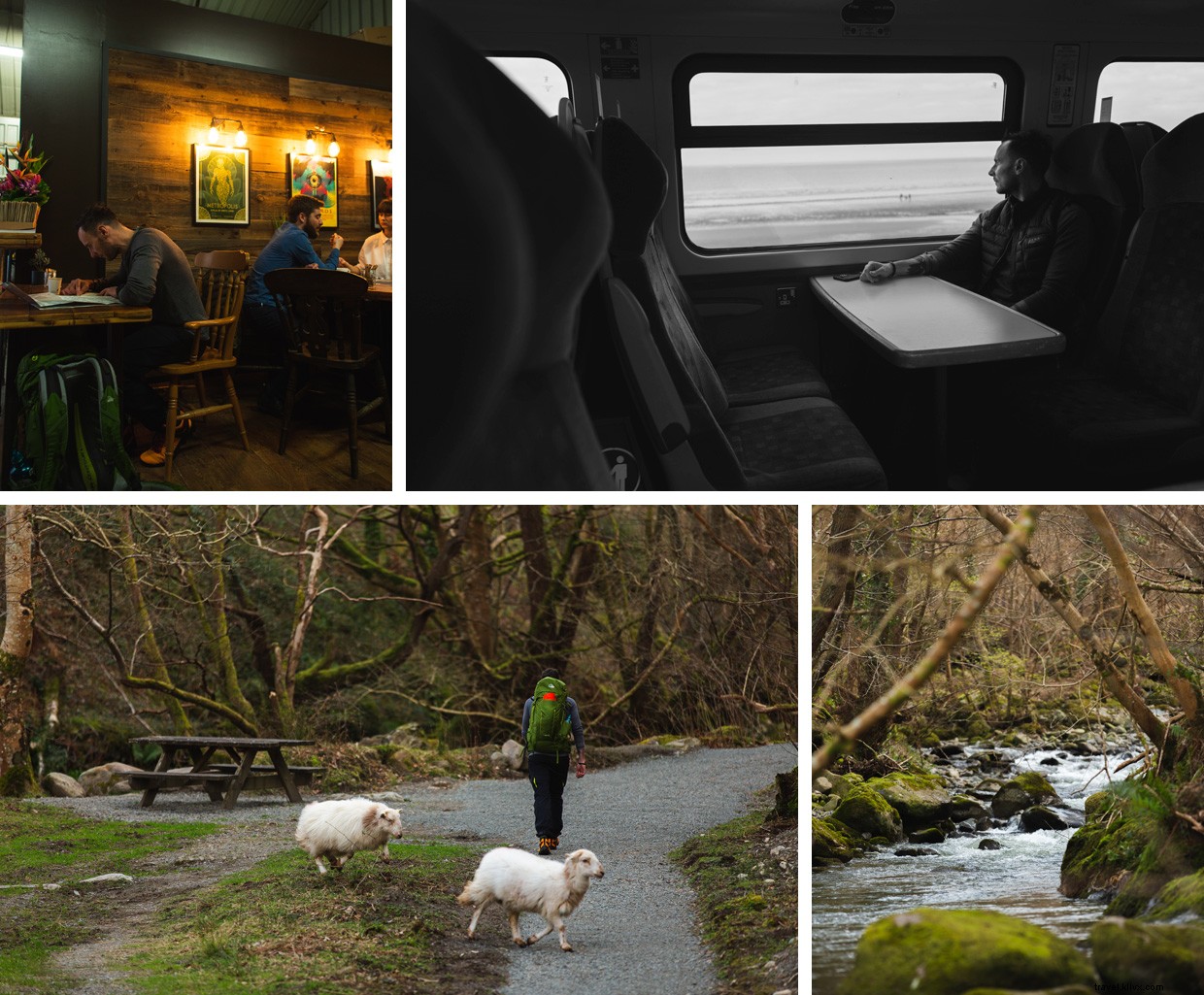 Journey Beyond: Embrace the Tranquil Rhythm of Train Travel