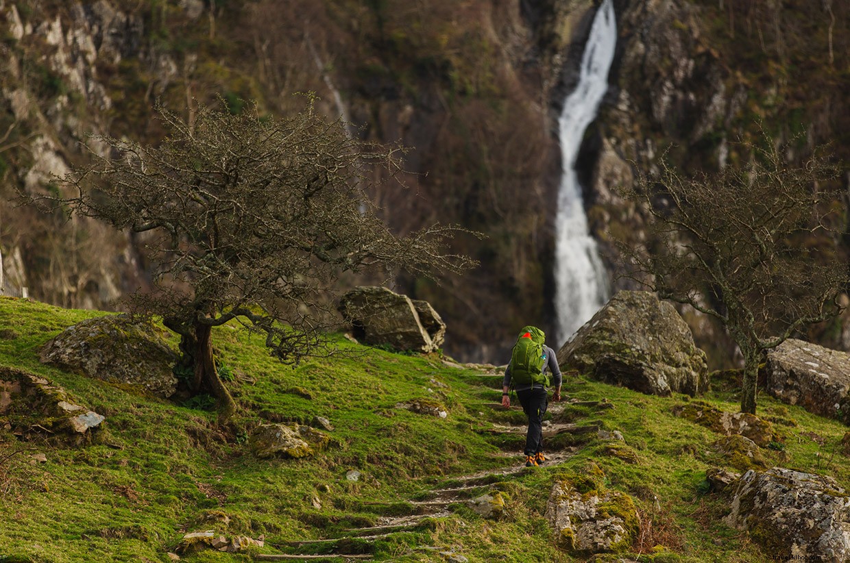 Journey Beyond: Embrace the Tranquil Rhythm of Train Travel