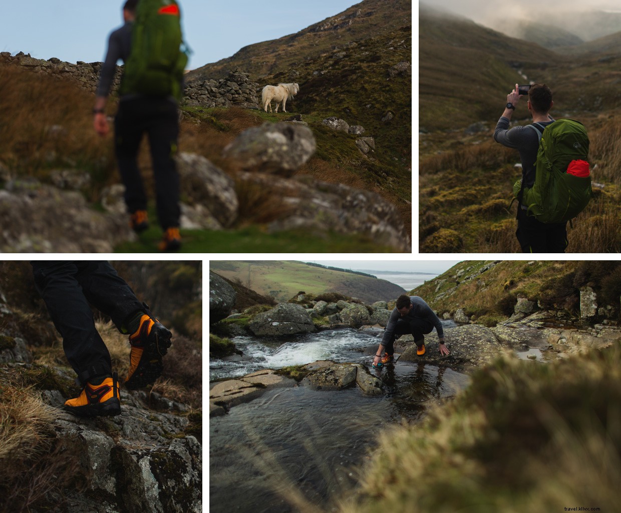 Journey Beyond: Embrace the Tranquil Rhythm of Train Travel