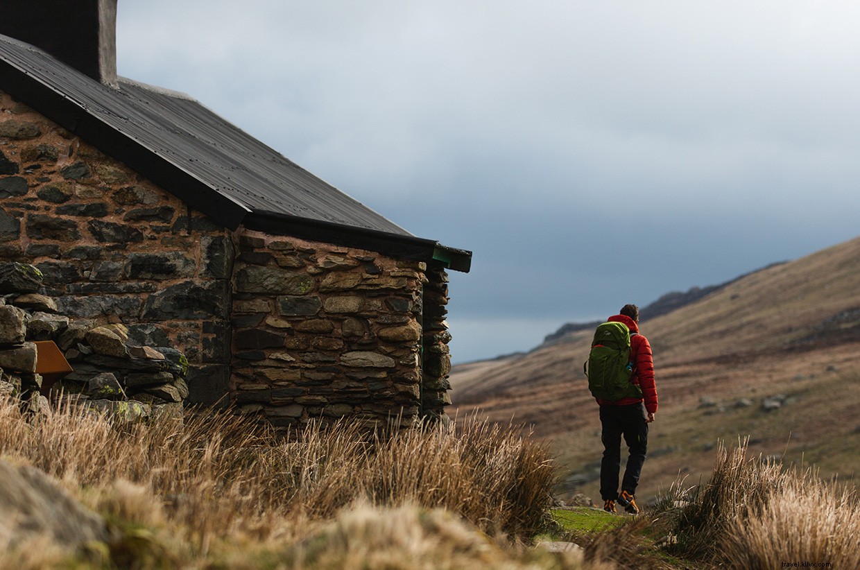 Journey Beyond: Embrace the Tranquil Rhythm of Train Travel