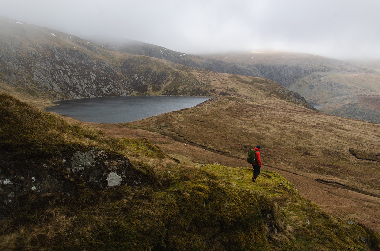 Journey Beyond: Embrace the Tranquil Rhythm of Train Travel
