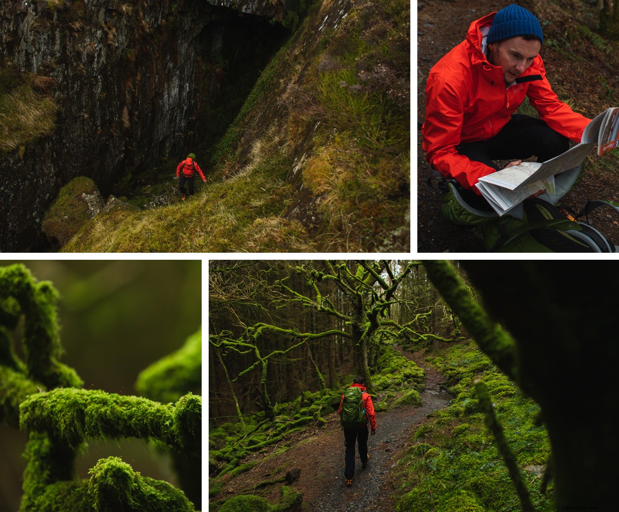 Journey Beyond: Embrace the Tranquil Rhythm of Train Travel