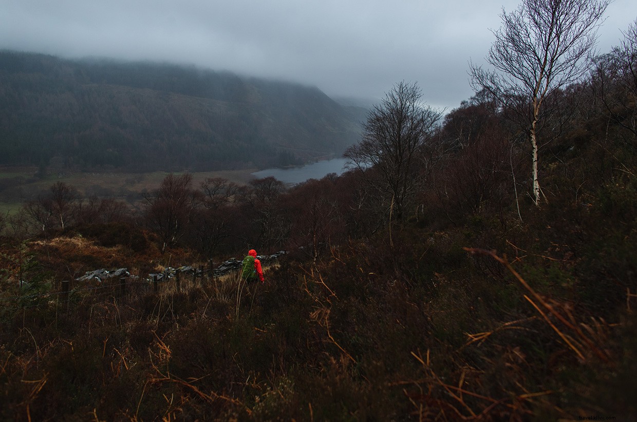 Journey Beyond: Embrace the Tranquil Rhythm of Train Travel