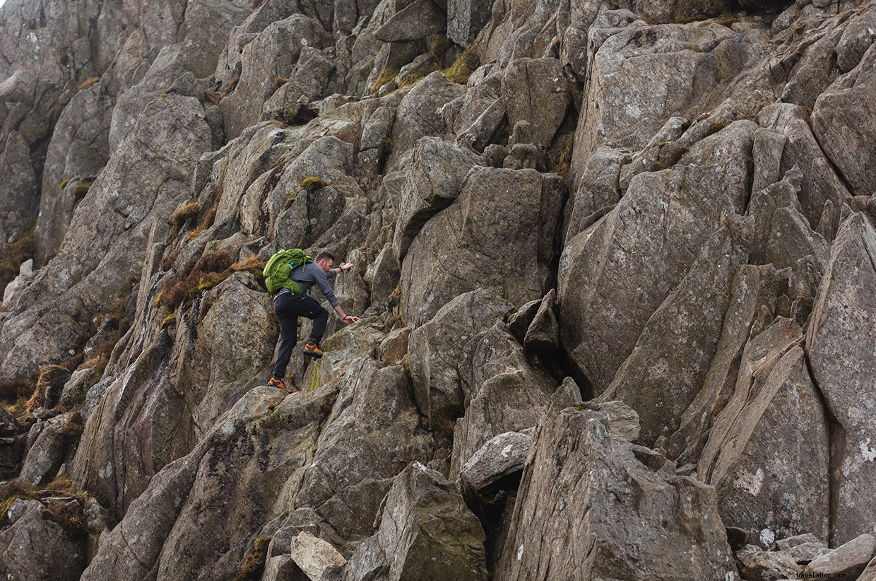 Journey Beyond: Embrace the Tranquil Rhythm of Train Travel