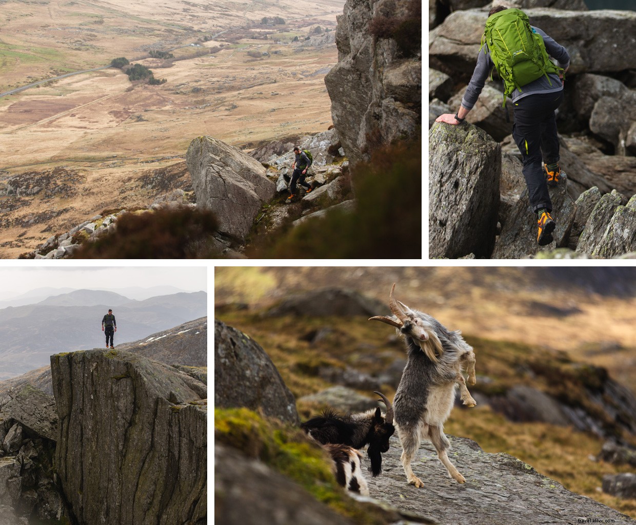 Journey Beyond: Embrace the Tranquil Rhythm of Train Travel