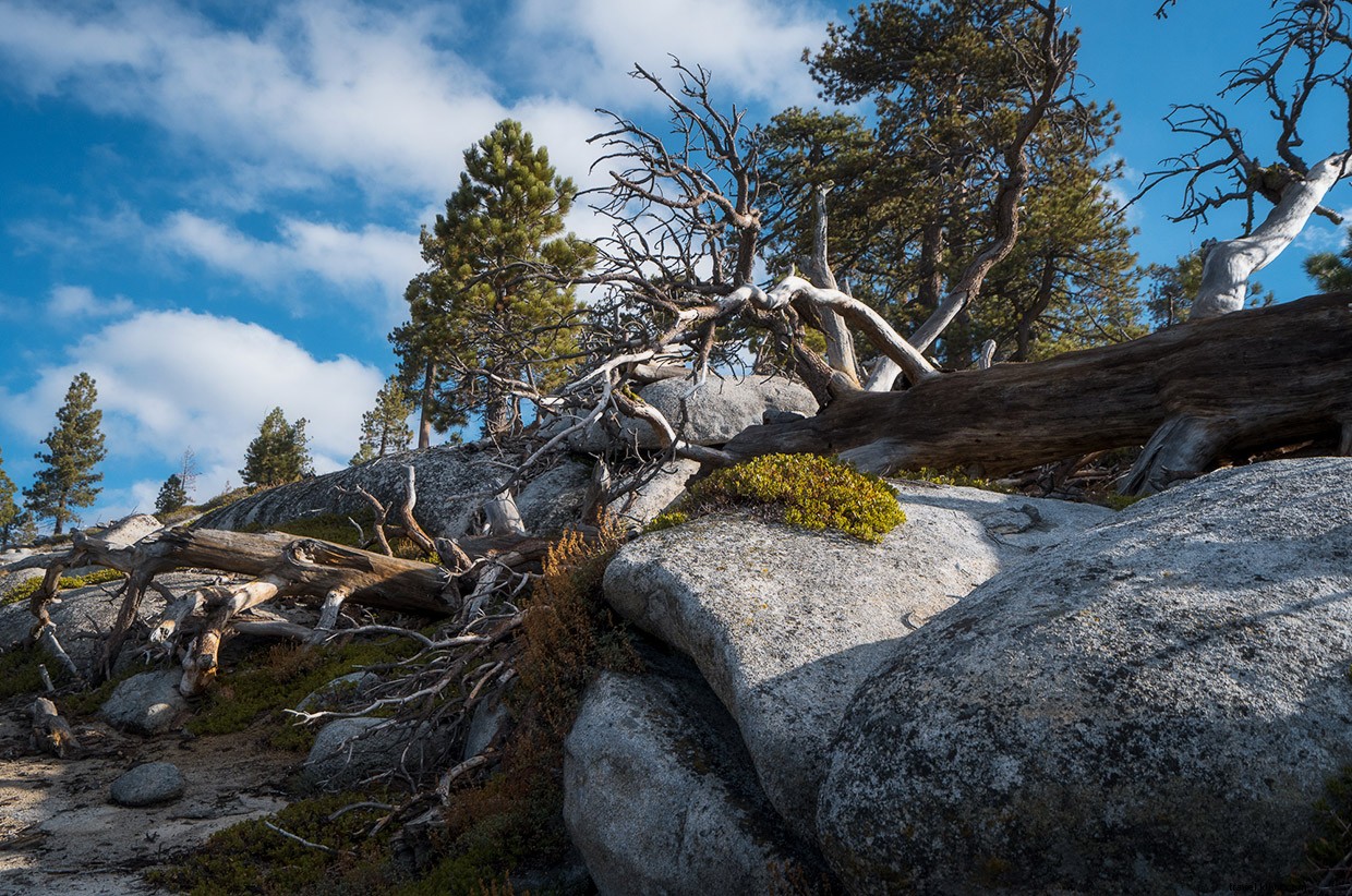 Discover Where Locals Hang Out: Kernville’s Hidden Gems