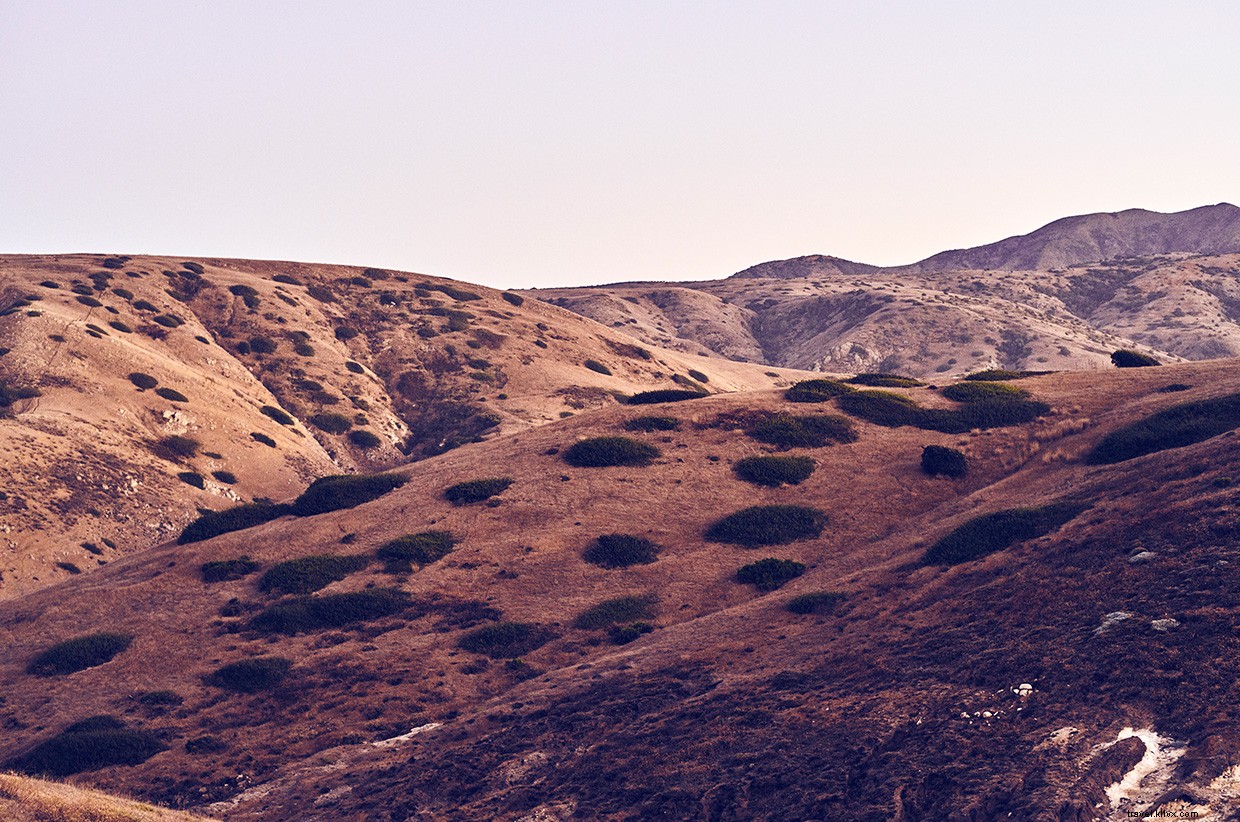 Exploring the Ocean s Depths: A Speargun Adventure in the Pacific