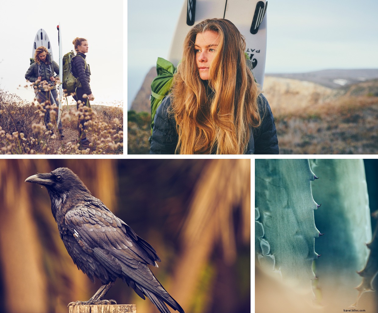 Exploring the Ocean s Depths: A Speargun Adventure in the Pacific