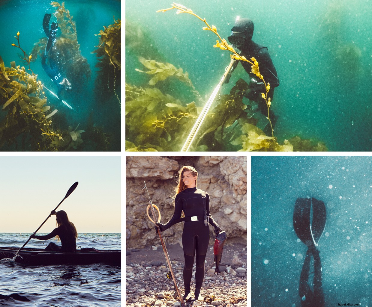 Exploring the Ocean s Depths: A Speargun Adventure in the Pacific