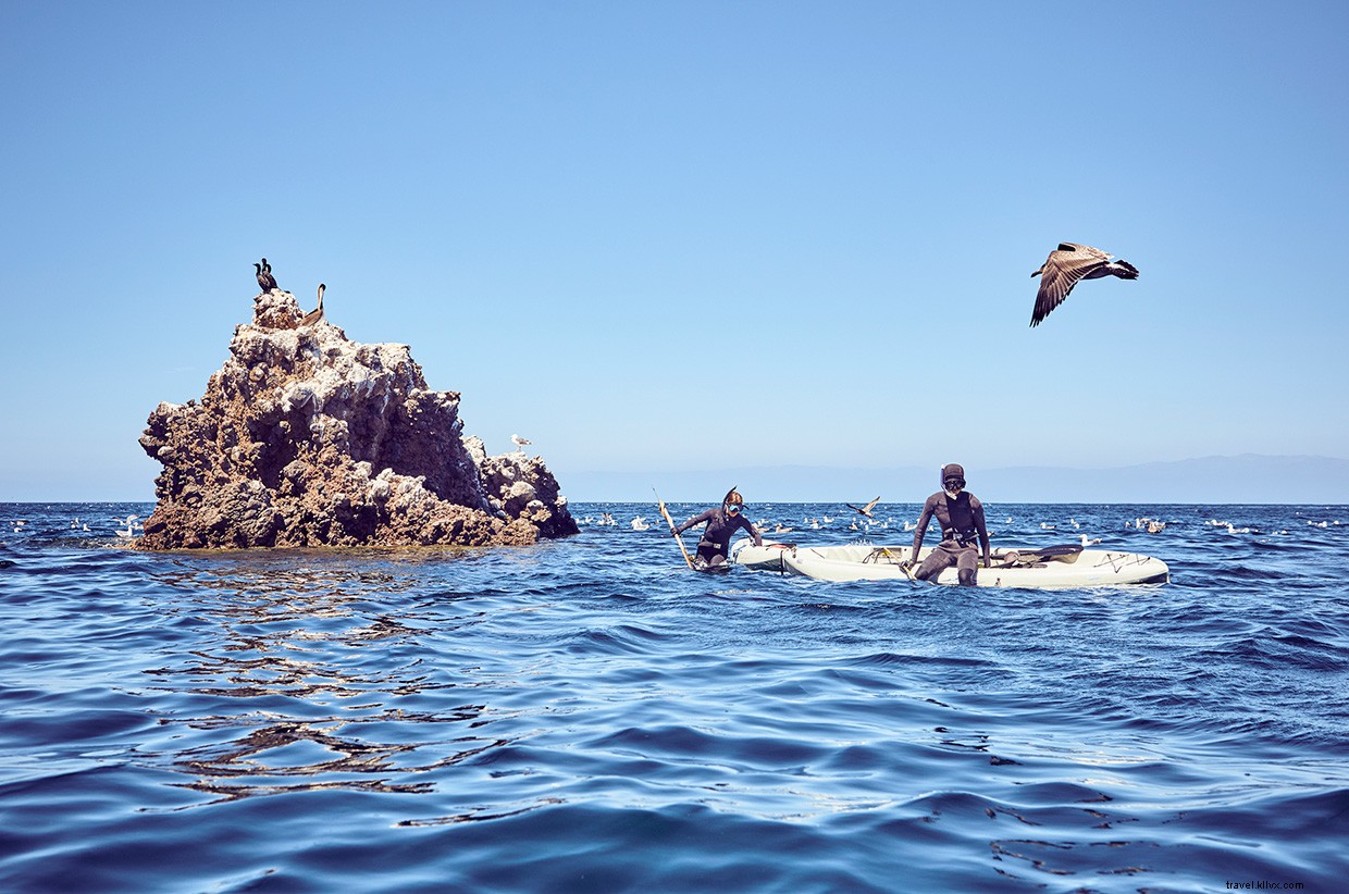 Exploring the Ocean s Depths: A Speargun Adventure in the Pacific