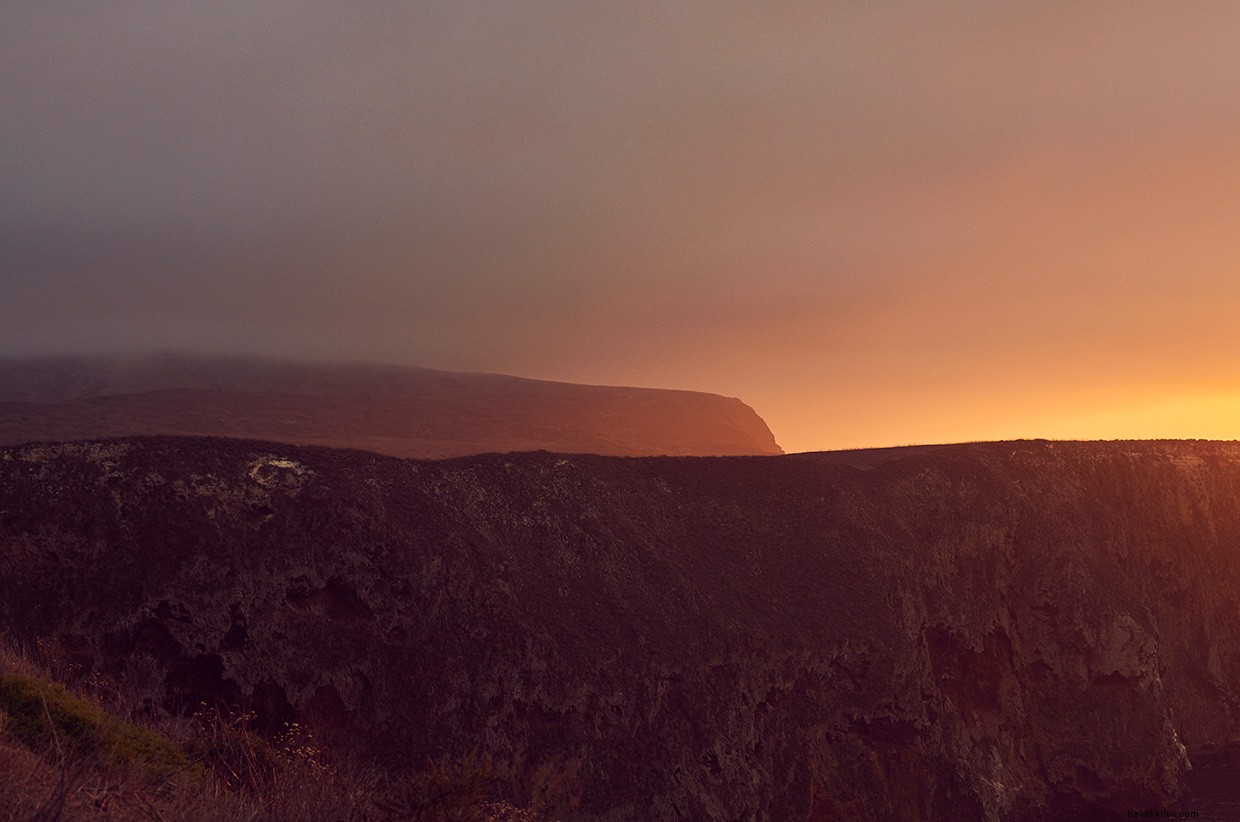 Exploring the Ocean s Depths: A Speargun Adventure in the Pacific