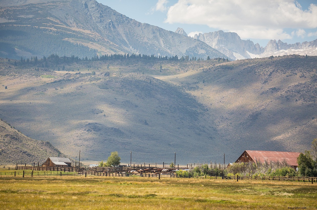 Exploring the Enduring Legacy of the Old West