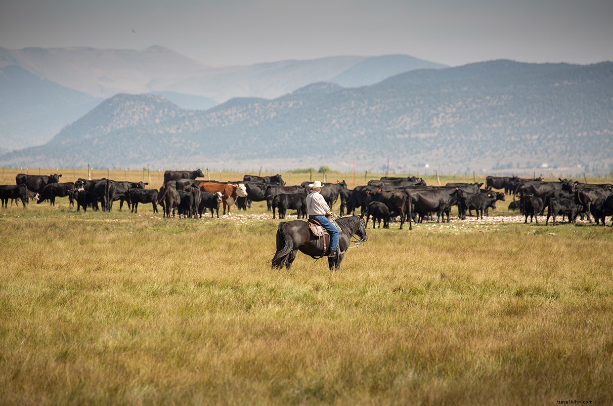 Exploring the Enduring Legacy of the Old West