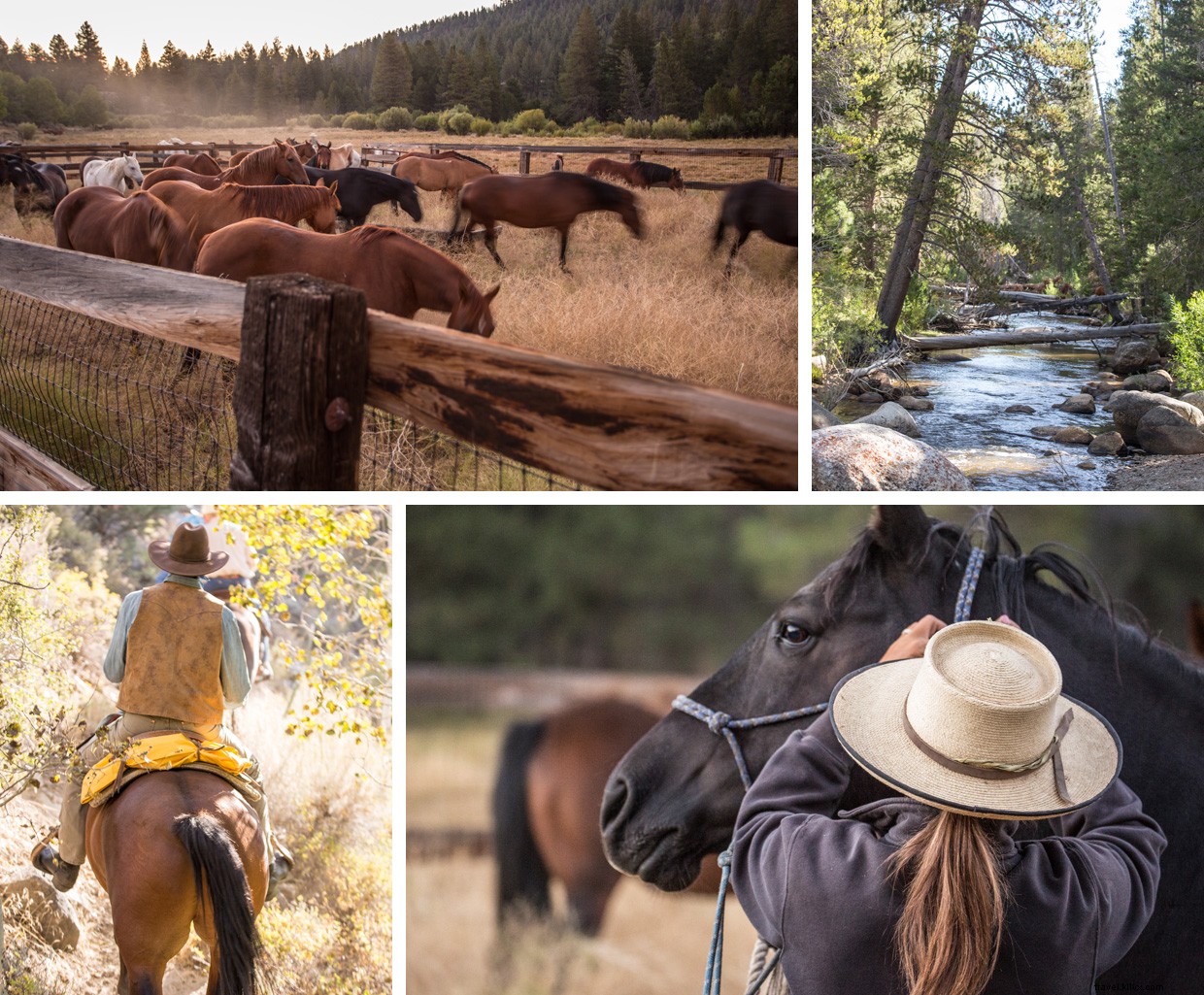 Exploring the Enduring Legacy of the Old West