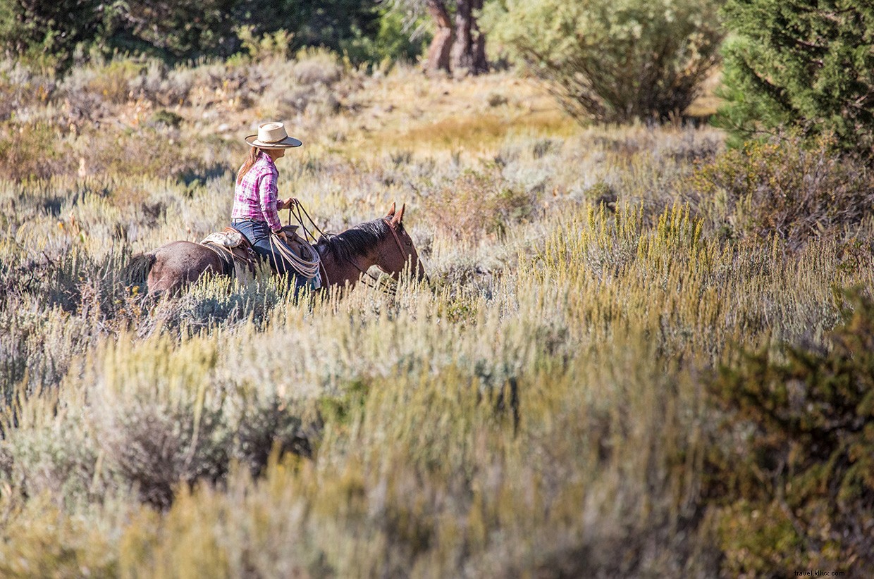 Exploring the Enduring Legacy of the Old West