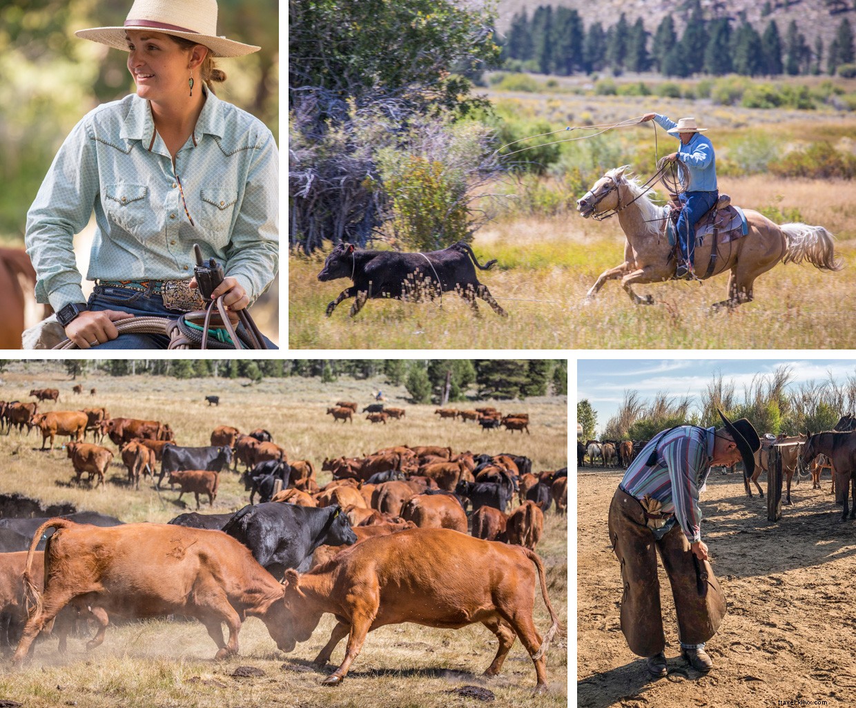 Exploring the Enduring Legacy of the Old West