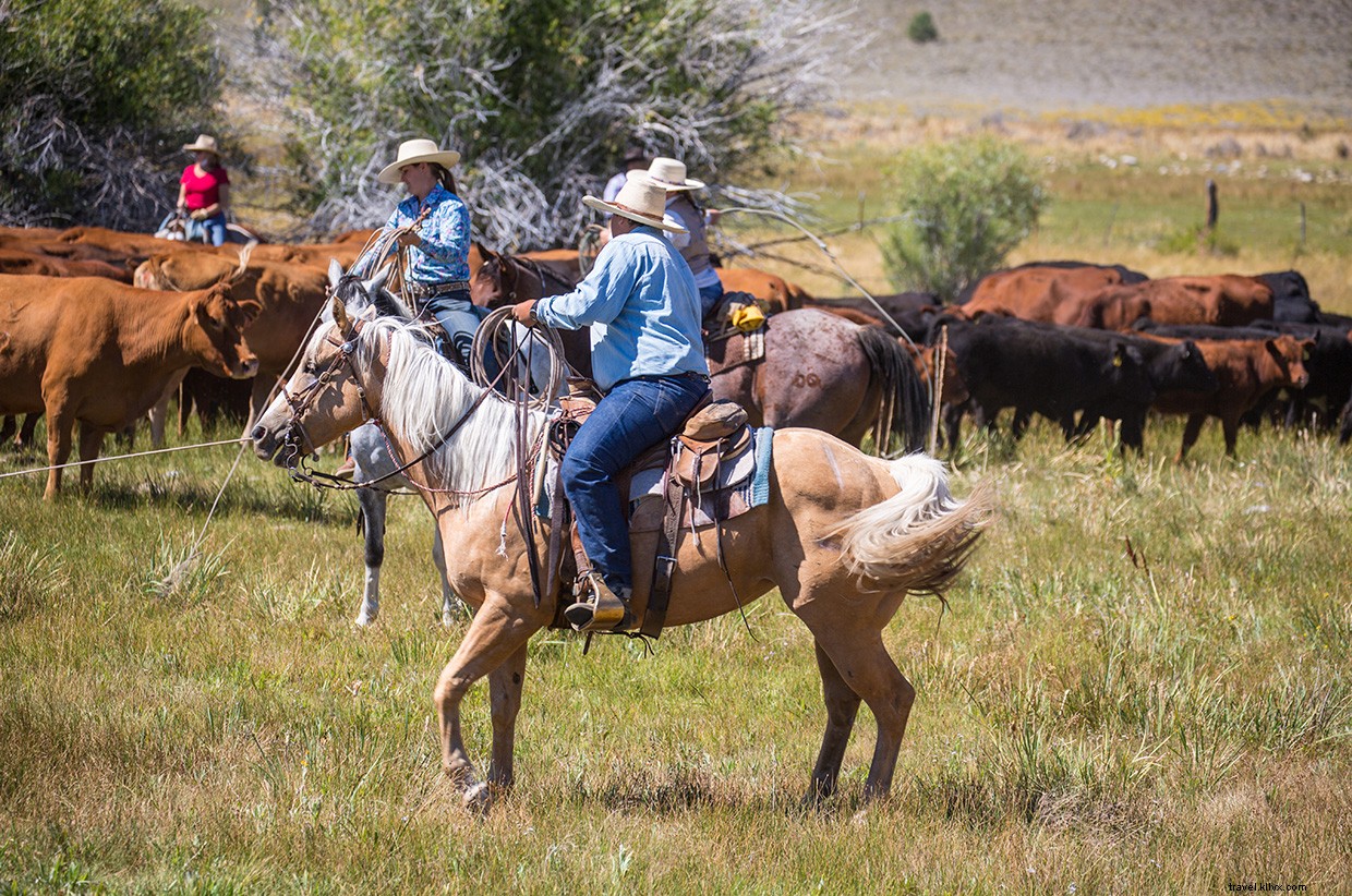 Exploring the Enduring Legacy of the Old West
