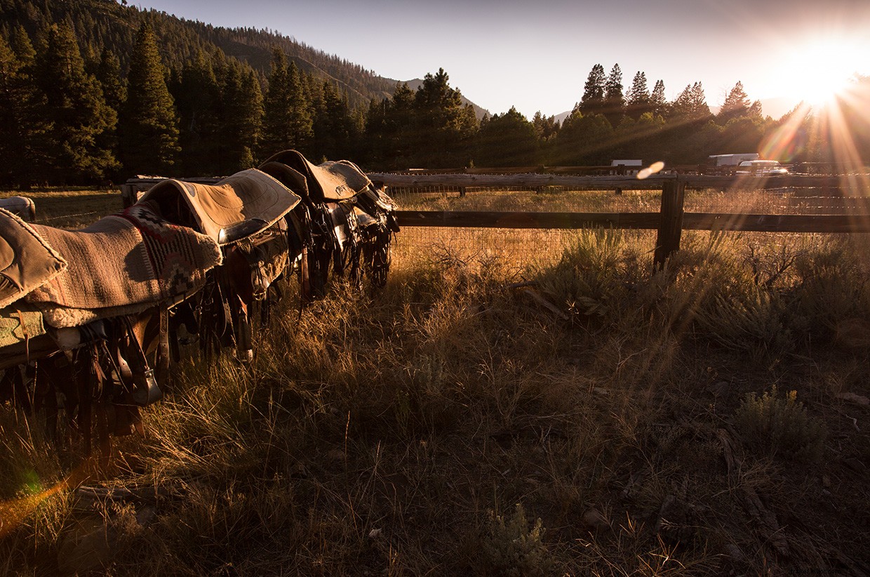 Exploring the Enduring Legacy of the Old West