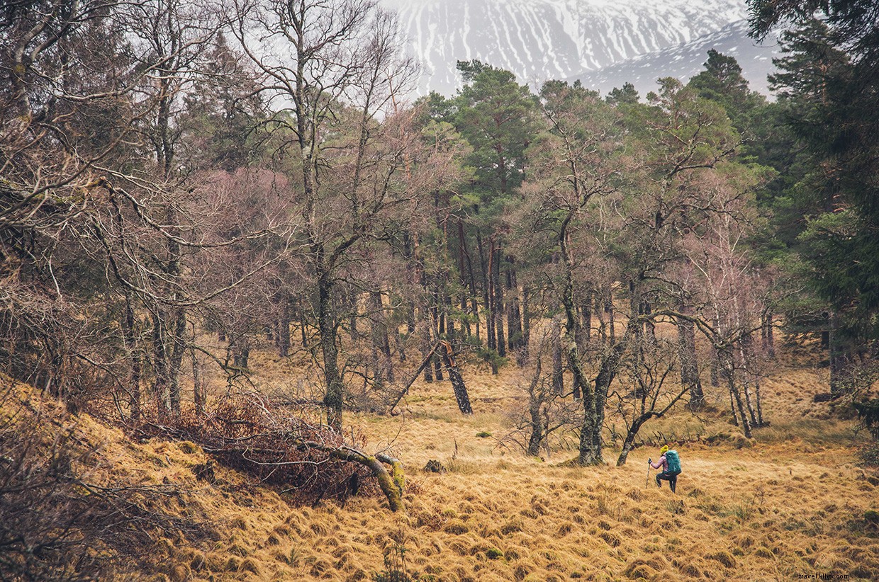 When Weather Delays the Trail: A Real‑Life Hiking Pause