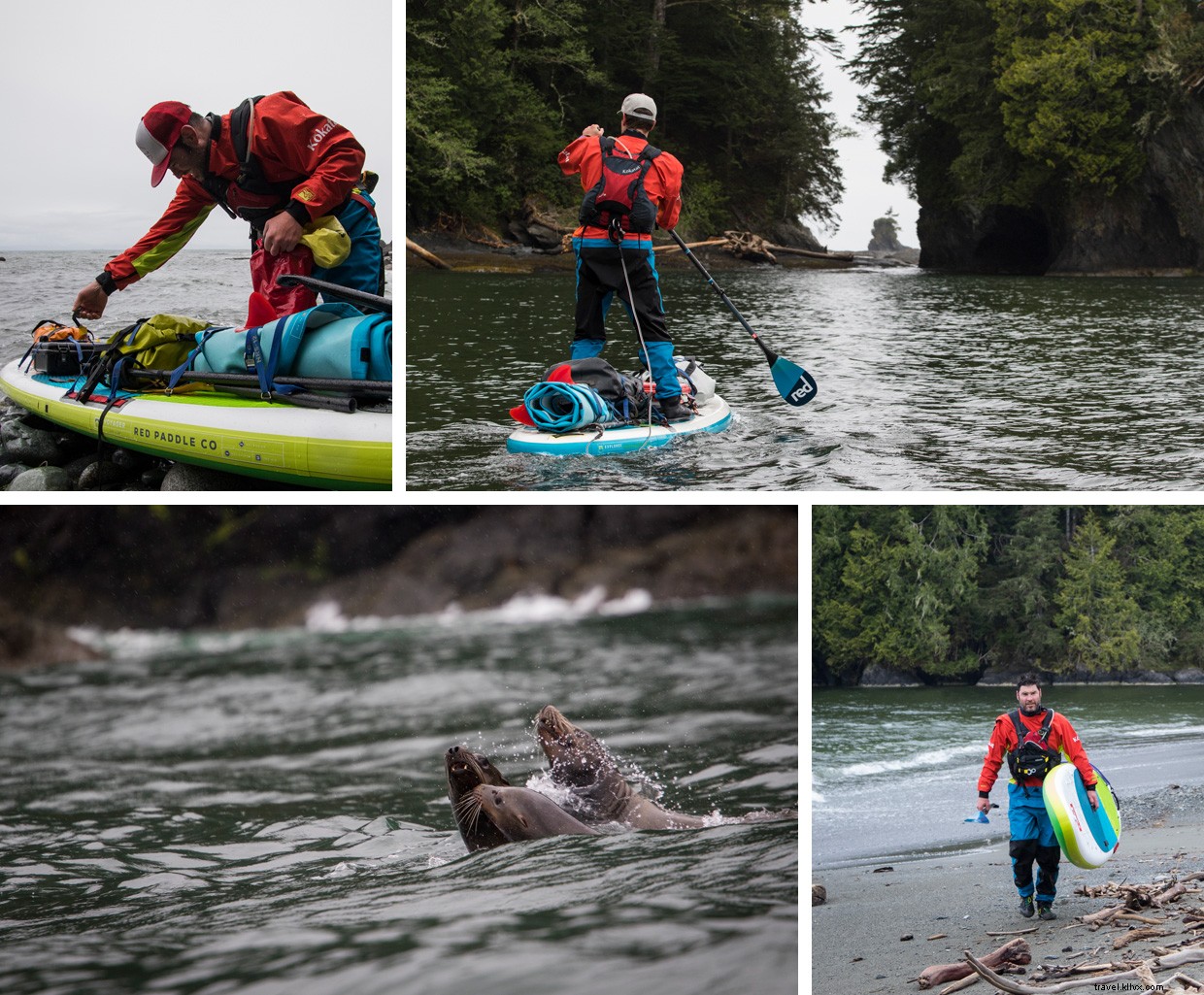 A Rugged Oasis: Unveiling the Secrets of a Coastal Hideaway