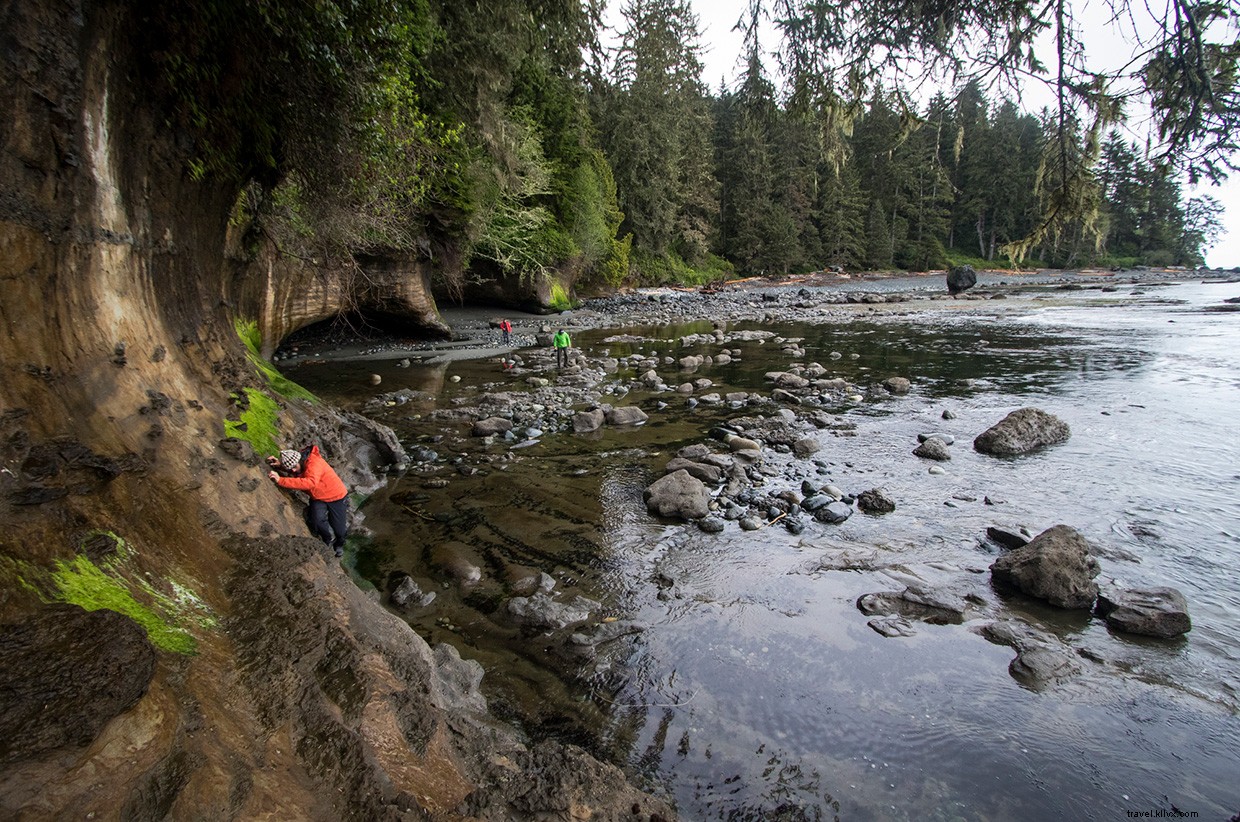 A Rugged Oasis: Unveiling the Secrets of a Coastal Hideaway