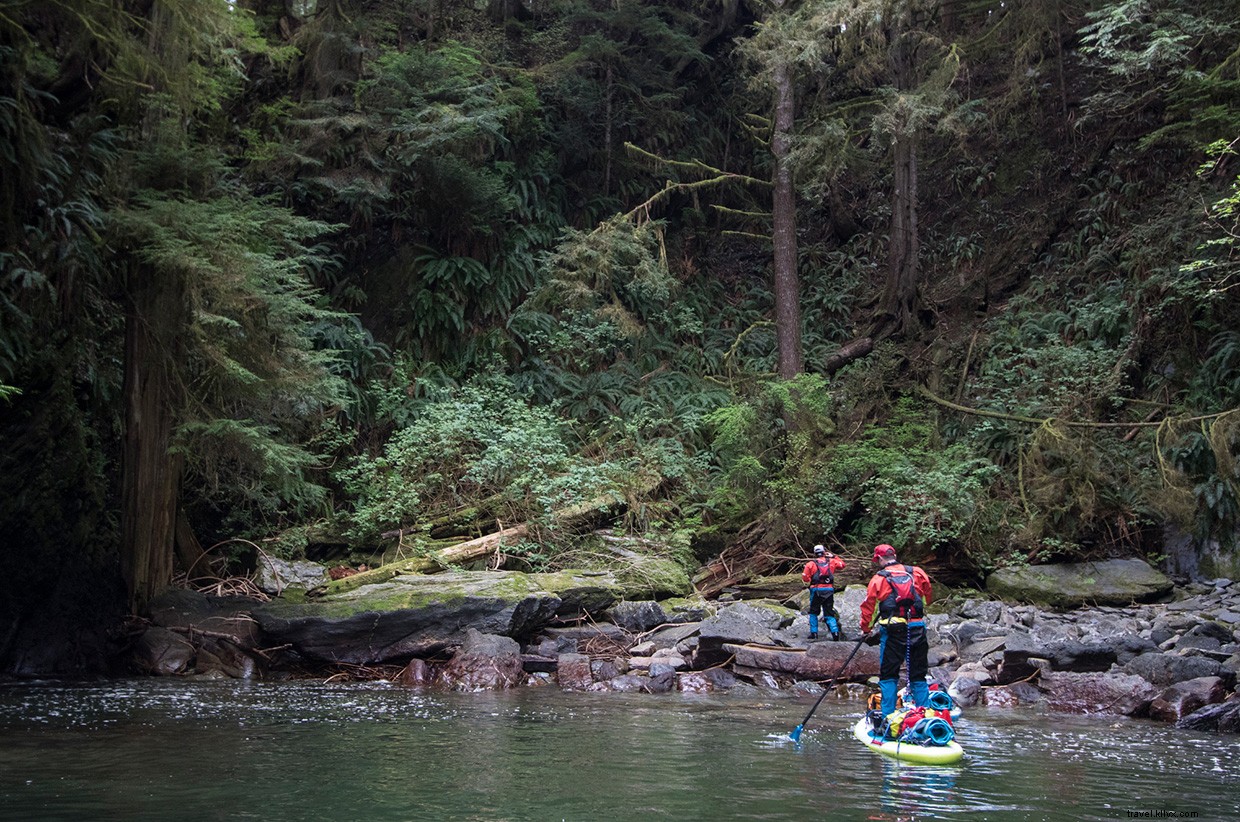 A Rugged Oasis: Unveiling the Secrets of a Coastal Hideaway