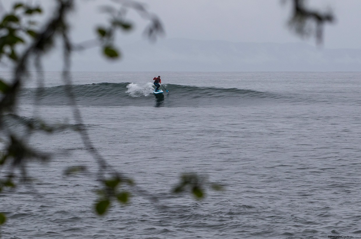 A Rugged Oasis: Unveiling the Secrets of a Coastal Hideaway