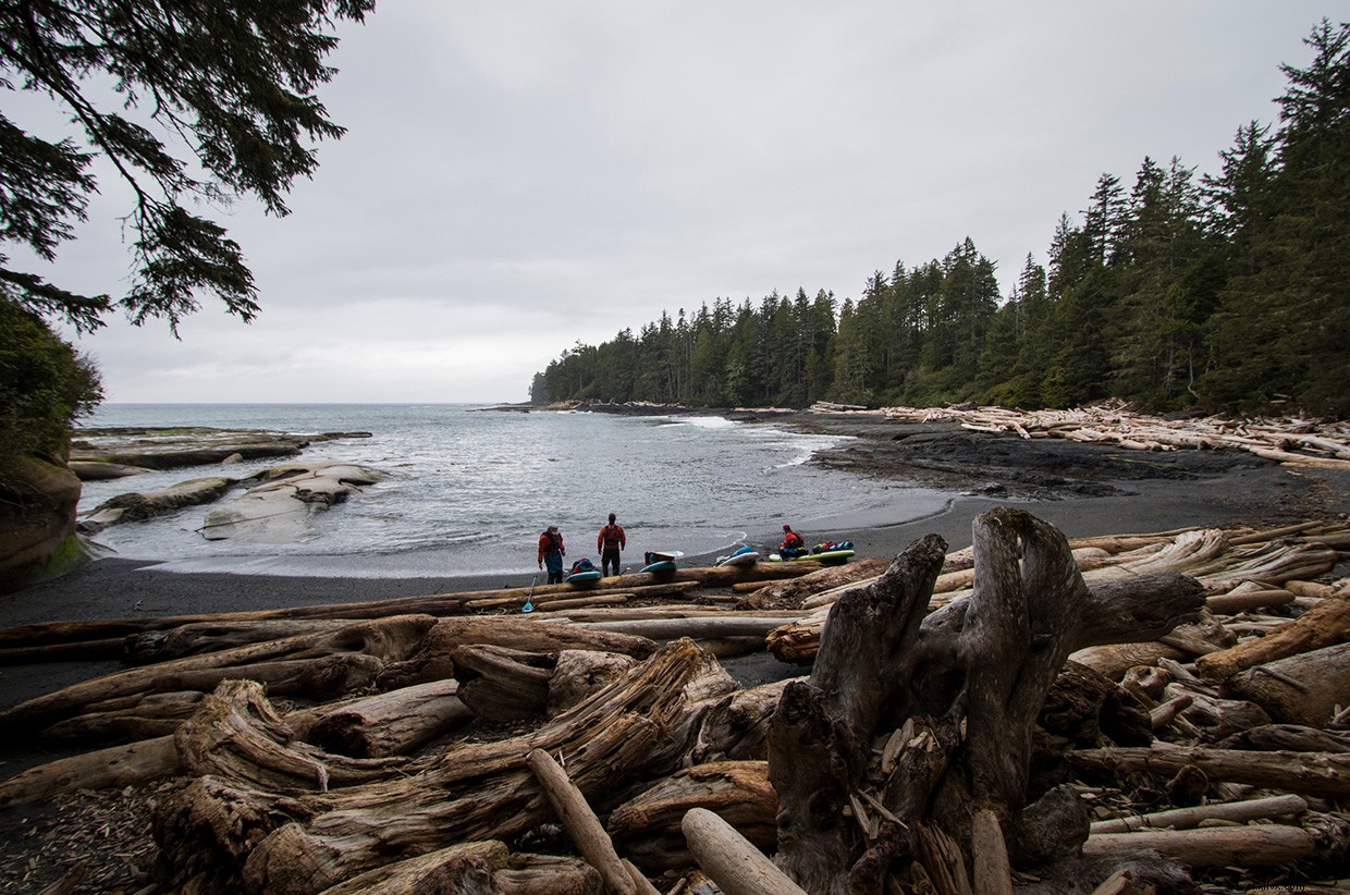 A Rugged Oasis: Unveiling the Secrets of a Coastal Hideaway