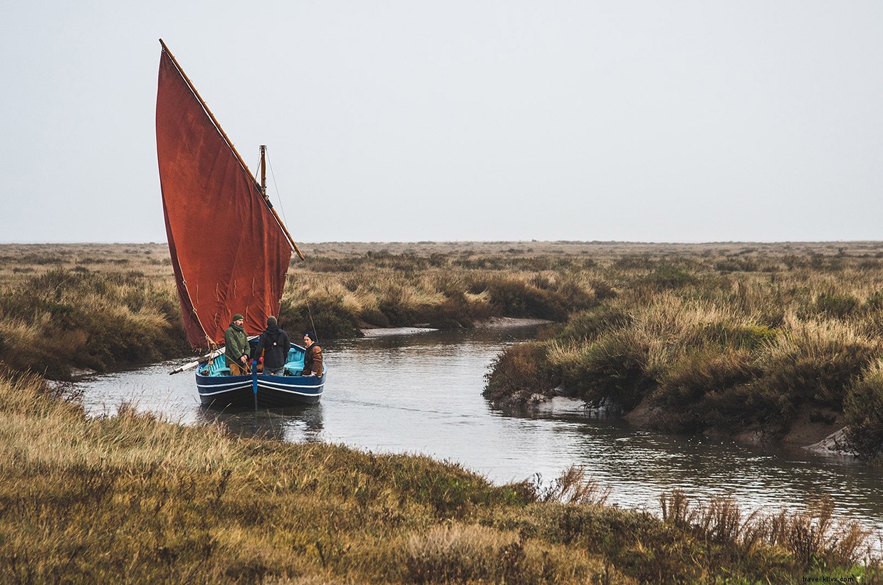 Sailing, Swimming, Foraging: Skills for Resilience