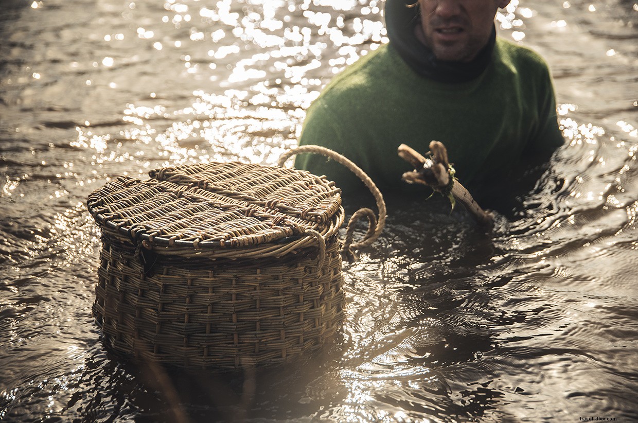Sailing, Swimming, Foraging: Skills for Resilience