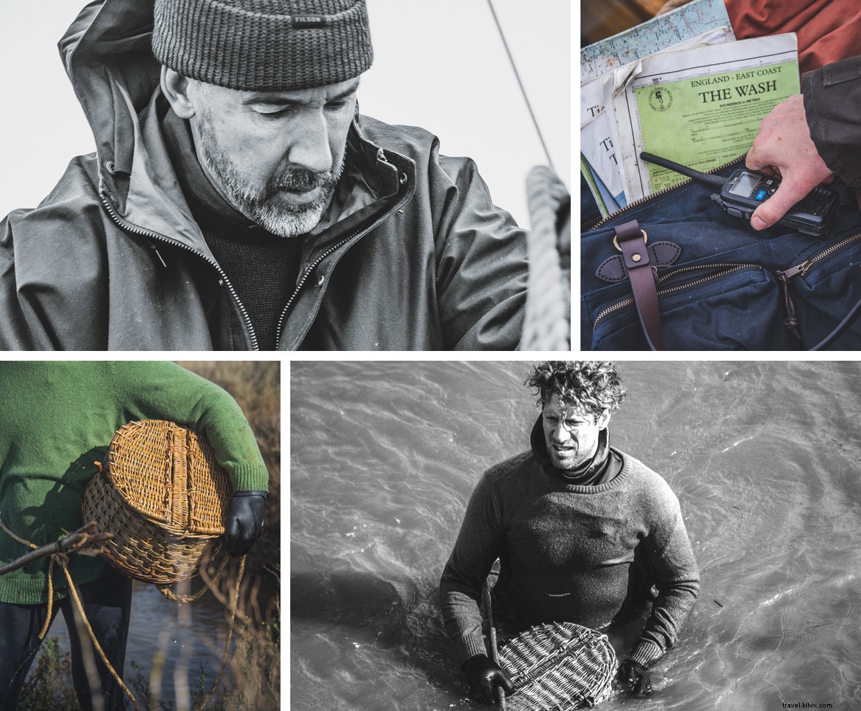 Sailing, Swimming, Foraging: Skills for Resilience