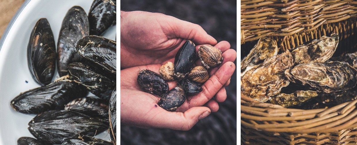 Sailing, Swimming, Foraging: Skills for Resilience