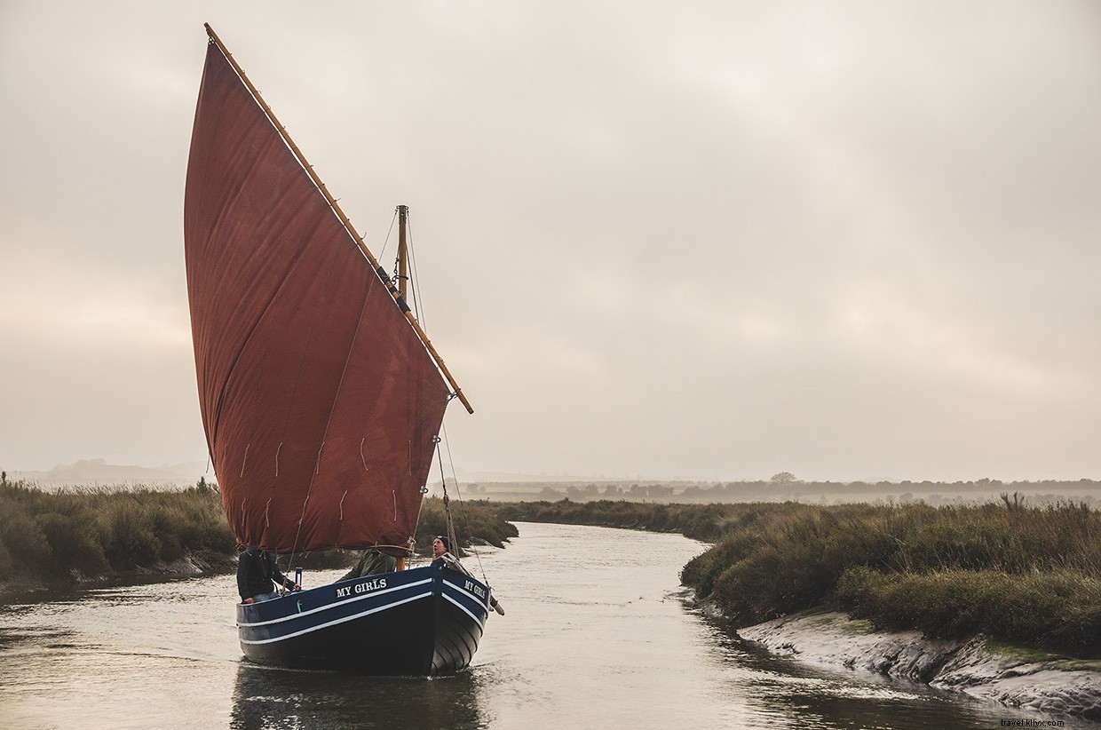 Sailing, Swimming, Foraging: Skills for Resilience
