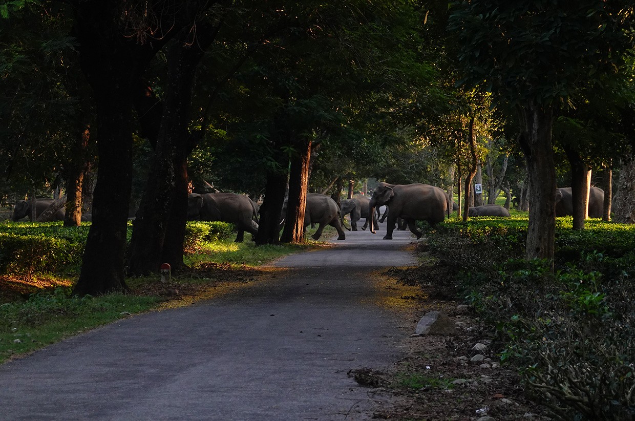 Echoes of Conflict: Midnight Tensions on the India‑Ne

p Border