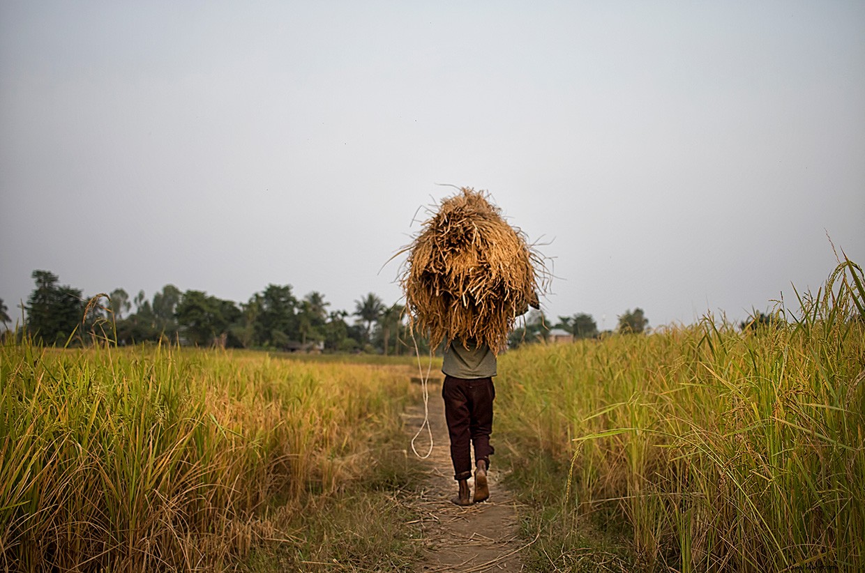 Echoes of Conflict: Midnight Tensions on the India‑Ne

p Border