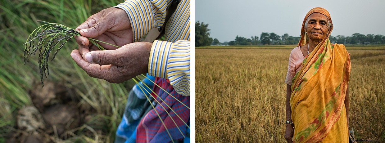 Echoes of Conflict: Midnight Tensions on the India‑Ne

p Border